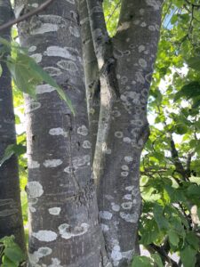 img 7557